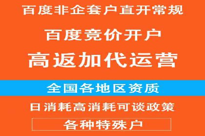 百度竞价推广托管服务，打造高效的网络营销团队